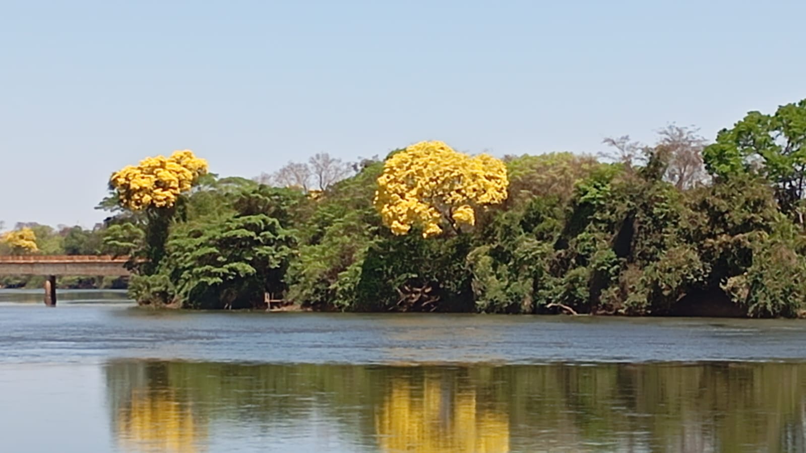 Chácara em Ilha Rica - Castelândia 1200,00m² — foto 1