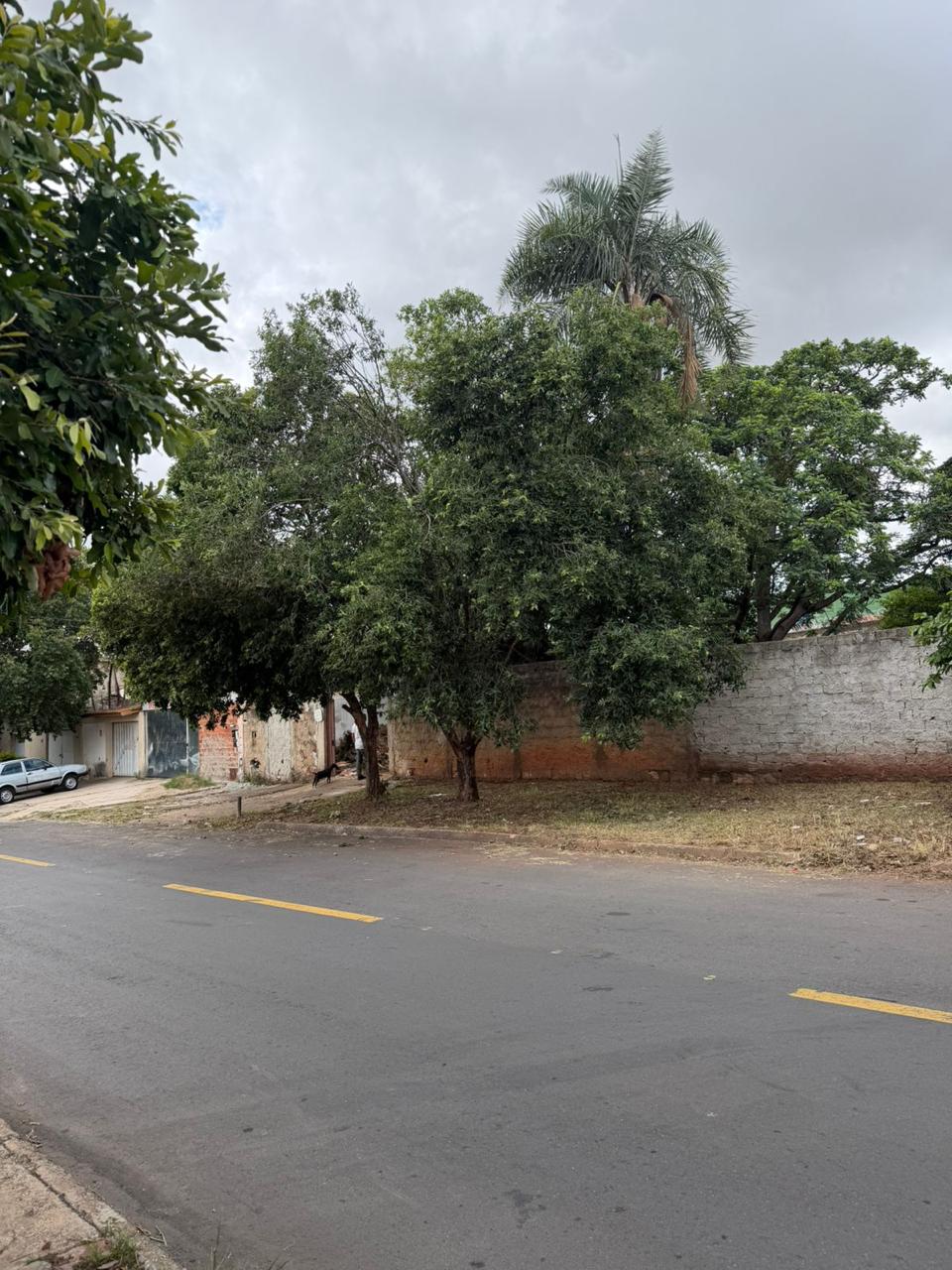 Lote no Jardim Novo Mundo — foto 1