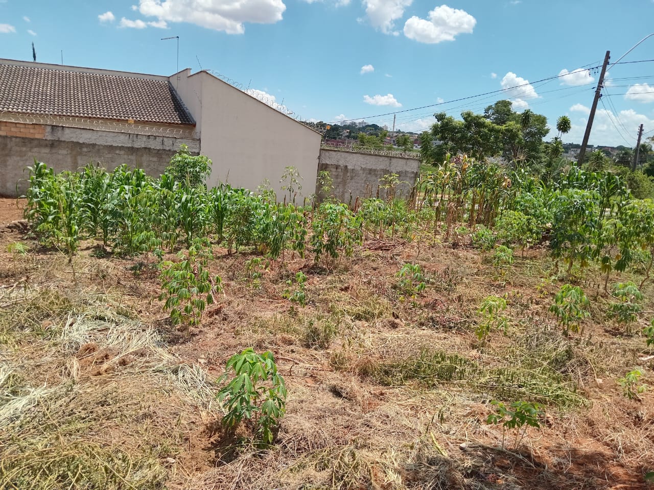 Lote Residencial Cidade Verde 307m² — foto 1