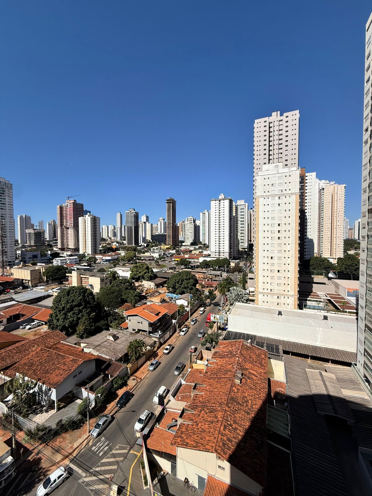 miniatura 11