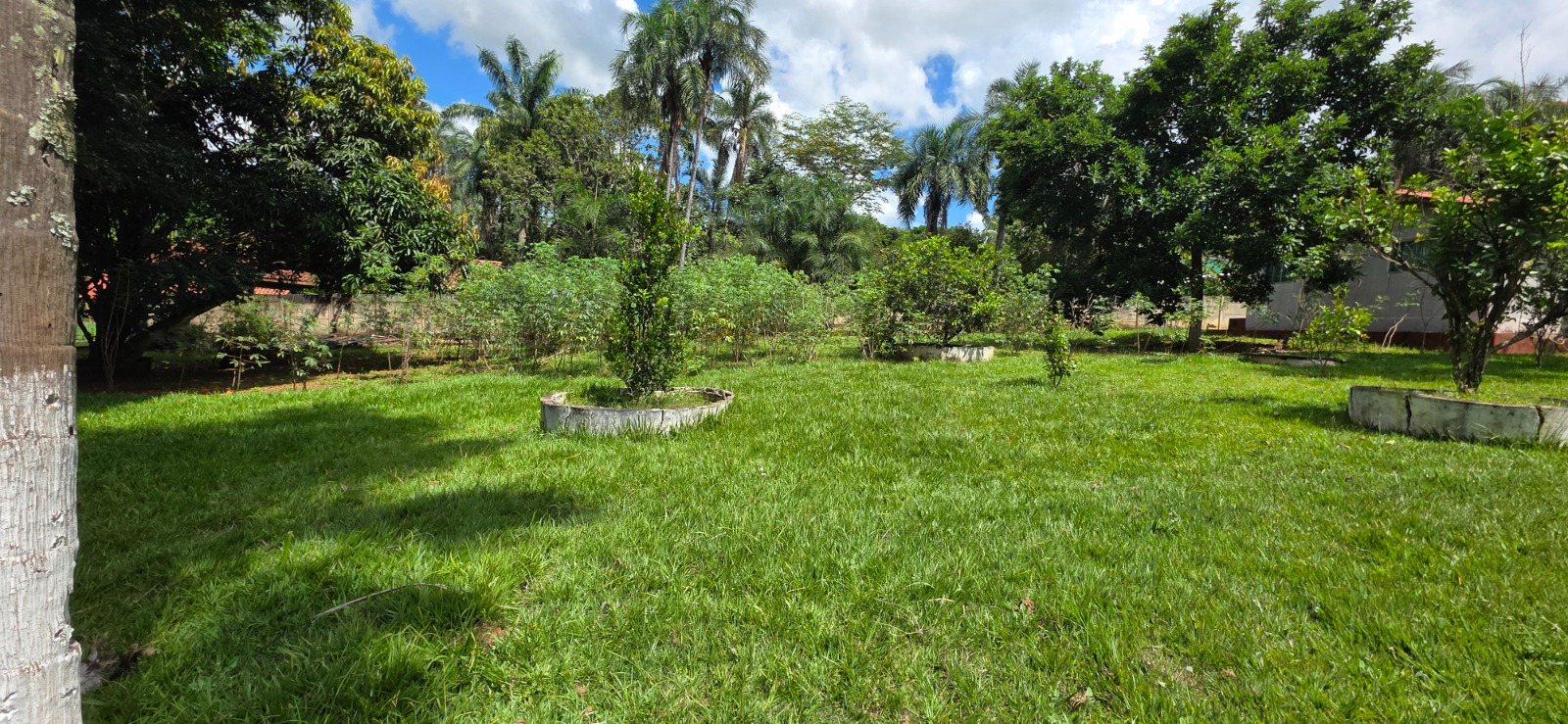 miniatura 13