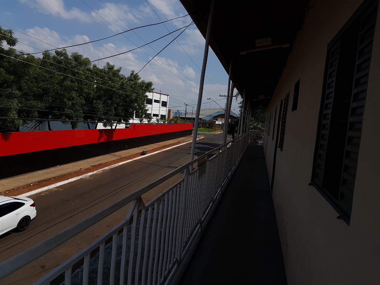 miniatura 11