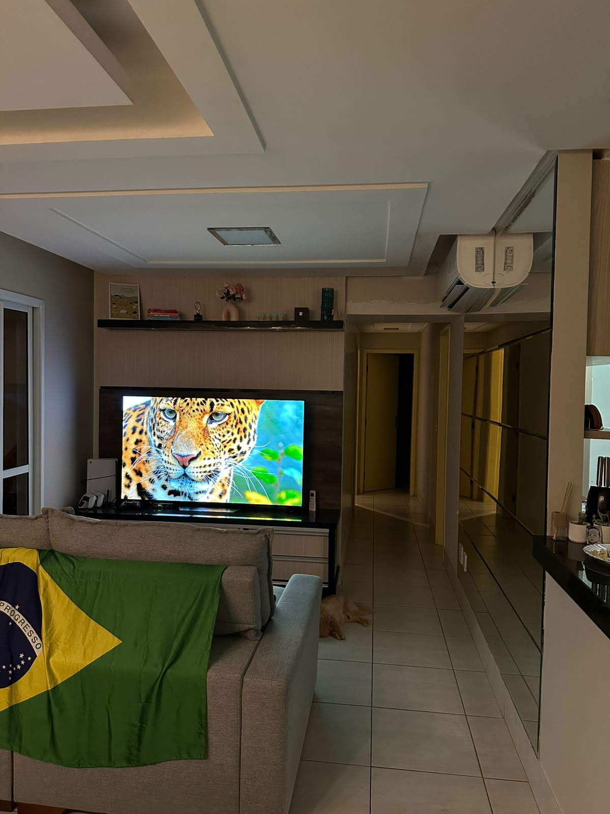 miniatura 15