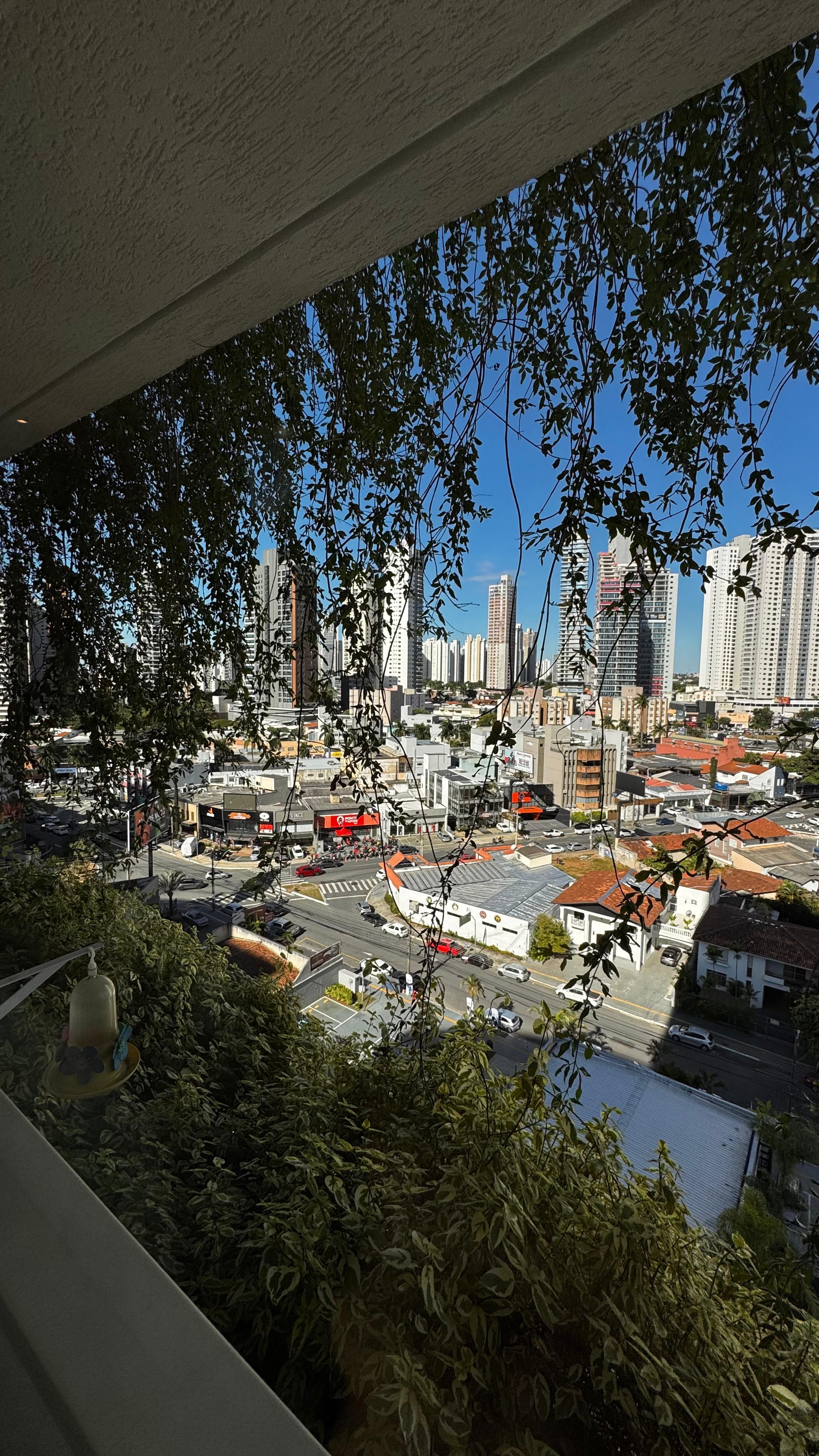 miniatura 17