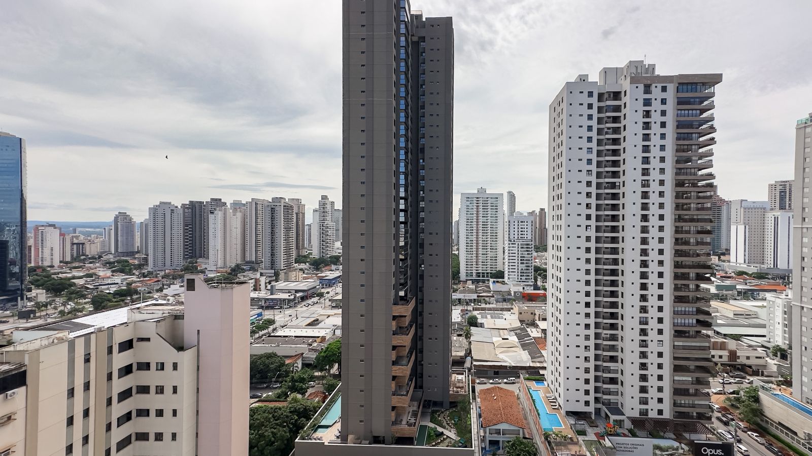 miniatura 13