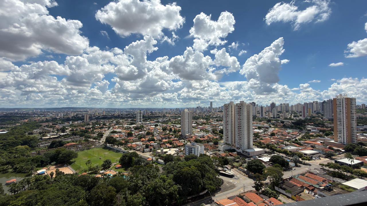 miniatura 14