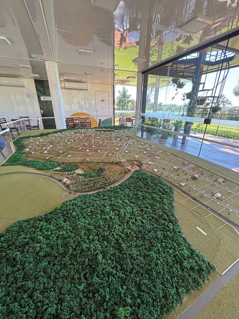 miniatura 10